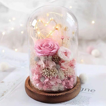 �v���U�[�u�h�t�����[ �K���X�h�[��