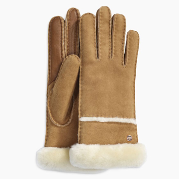 �A�O �V�[�v�X�L�� �O���[�u