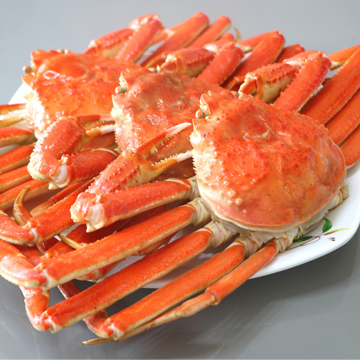 �{���킢�I�p