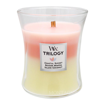 WoodWick �g�����W�[�W���[M