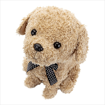 �R�R ������������