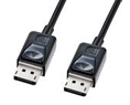 DisplayPort