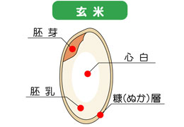 日本酒の豆知識(精米歩合)