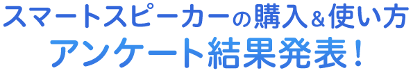 X}[gXs[J[̍wgAP[gʔ\I