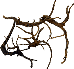 ���C�A�E�g�f�ށi���؁j