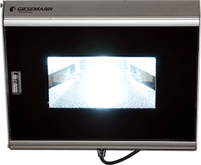 ���^���n���C�h�����v