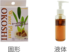 �����p�h�{�f�i�Ō`�E�t�́j