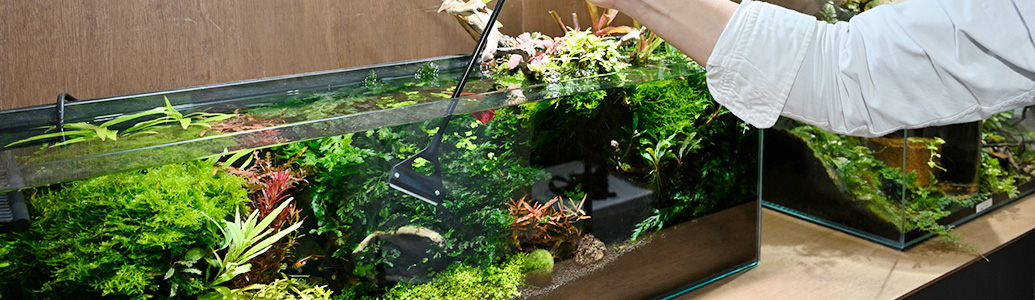 ���C���r�W���A��05