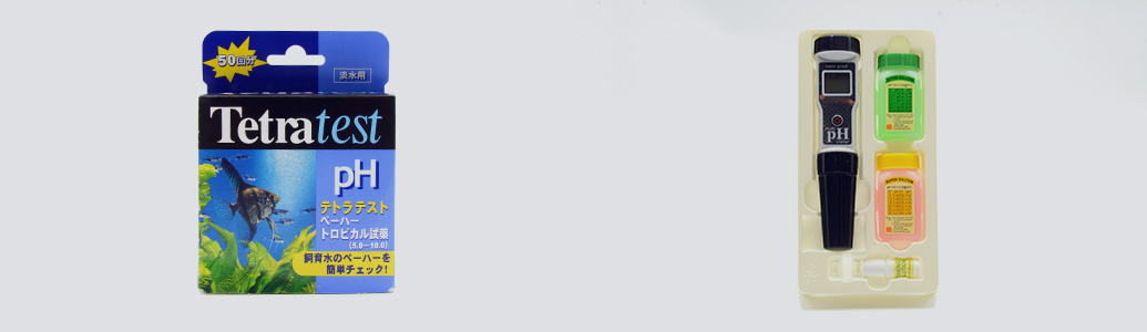 ���C���r�W���A��10