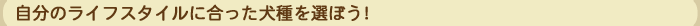 ̃CtX^CɍIڂI