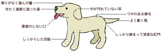 q̑̂`FbN