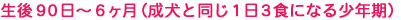 XO`UiƓPRHɂȂ鏭Nj
