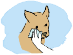ڂ̂܂͔G炵K[[Ő
