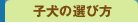 q̑Iѕ