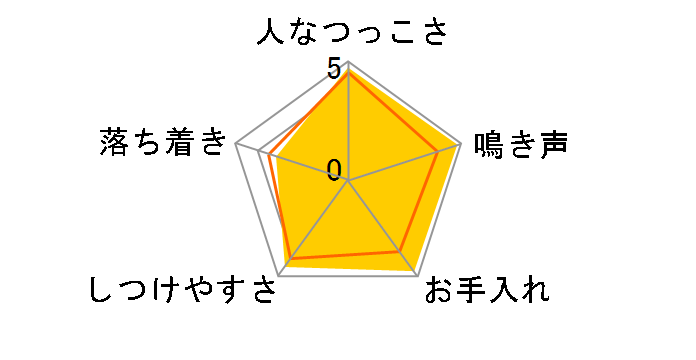 {XgEeA