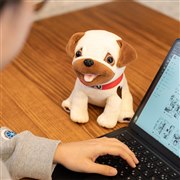 価格.com】ぬいぐるみ | 通販・価格比較・製品情報