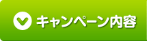 キャンペーン内容