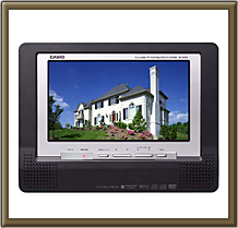 CASIO�@�����C�e���r DV-900W