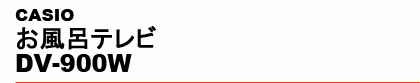 CASIO�@�����C�e���r DV-900W