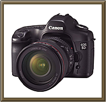 CANON�@EOS 5D