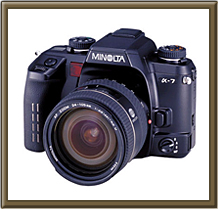 KONICA MINOLTA�@��-7 �{�f�B