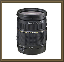 TAMRON�@SP AF 28-75mm F/2.8 XR Di LD Aspherical [IF] MACRO (Model A09) (���ݗp)