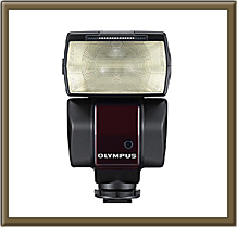 OLYMPUS�@�G���N�g���j�b�N�t���b�V�� FL-36