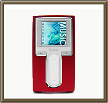 �A�C���o�[�W���p���@H10 [5GB]