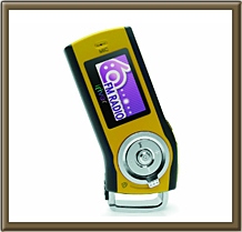 �A�C���o�[�W���p���@T10