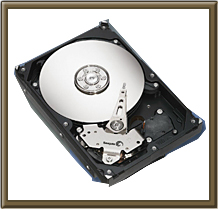 SEAGATE�@ST3250823AS�@(250GB�@SATAII�@7200)