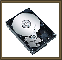 SEAGATE�@ST3160812AS�@(160G�@SATA300�@7200)