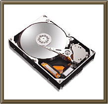 MAXTOR�@7L300S0�@(300G�@SATAII�@7200)