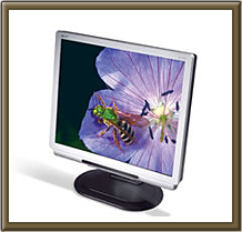 Acer AL1722�i�t�����j�^����j