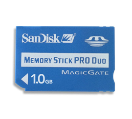 SANDISK&nbsp;SDMSPD-1024-J60 (1GB)