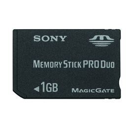SONY&nbsp;MSX-M1GST (1GB)