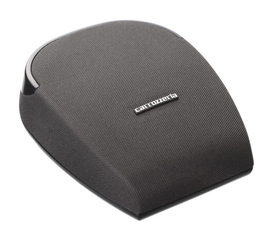 PIONEER&nbsp;TS-CX900