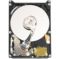 WD3200BEVE (320GB 9.5mm)