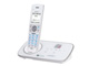 DECT3280(W) [�z���C�g]