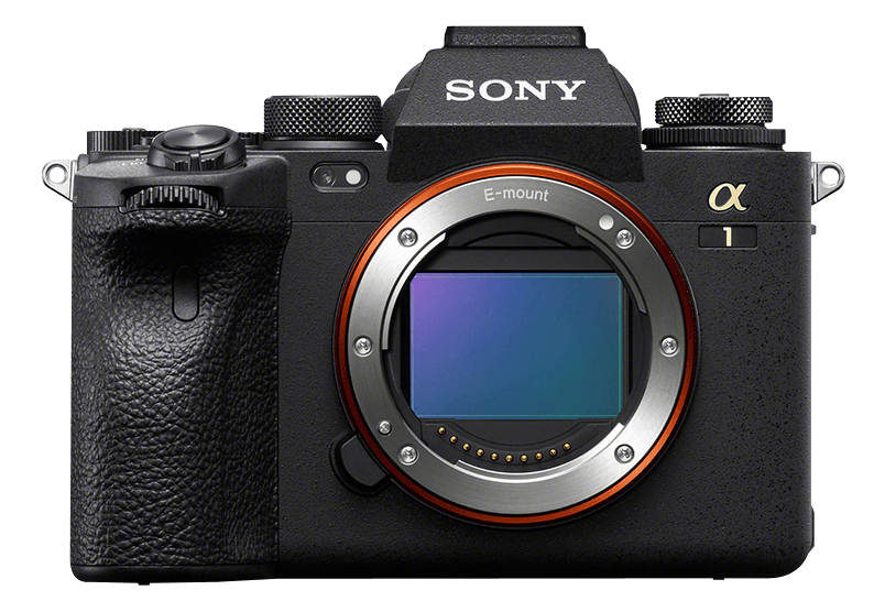 ��1 ILCE-1 �{�f�B