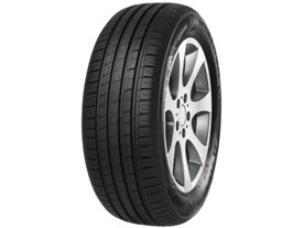 MINERVA F209 195/55R15 85H 製品画像