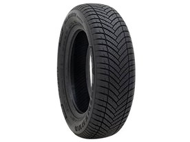 MINERVA ALL SEASON MASTER 165/65R14 79T 製品画像