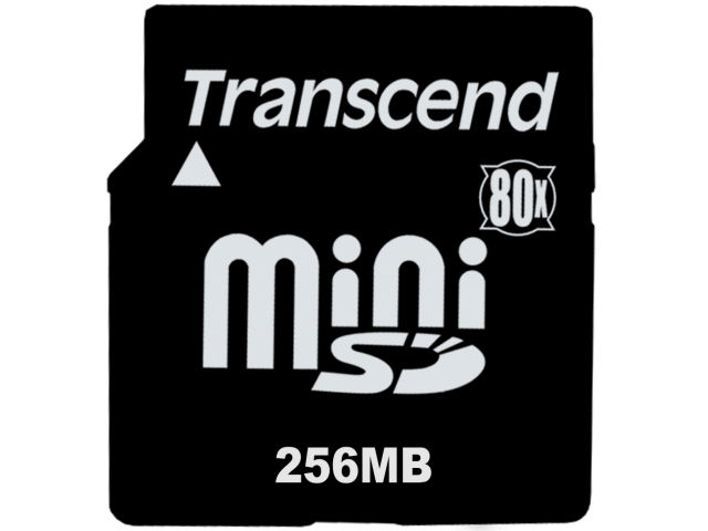 TS256MSDM80 (256MB) �̐��i�摜
