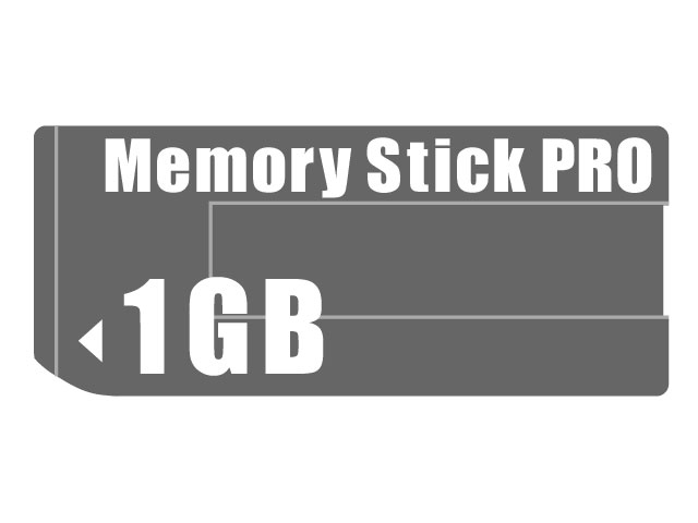 �������[�X�e�B�b�N PRO 1GB �̐��i�摜