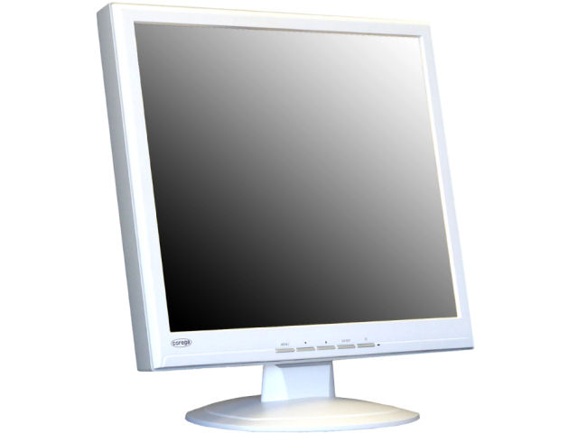 CG-L19DSW [19�C���`] �̐��i�摜