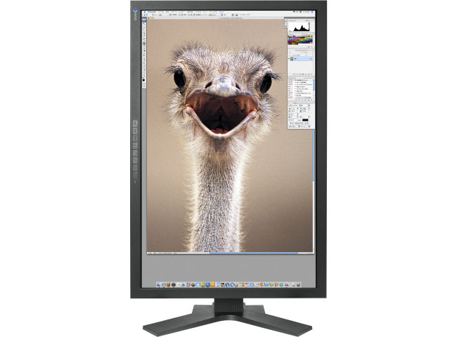 ColorEdge CG301W [29.8�C���`] �̐��i�摜