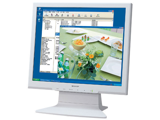 LL-173C-W [17�C���`] �̐��i�摜