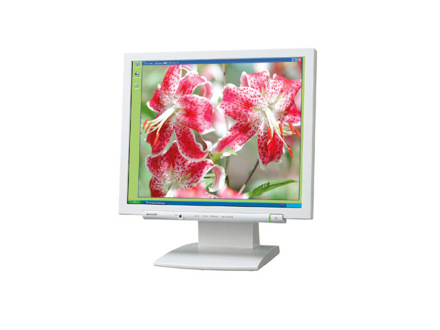 LL-173A-W [17�C���`] �̐��i�摜