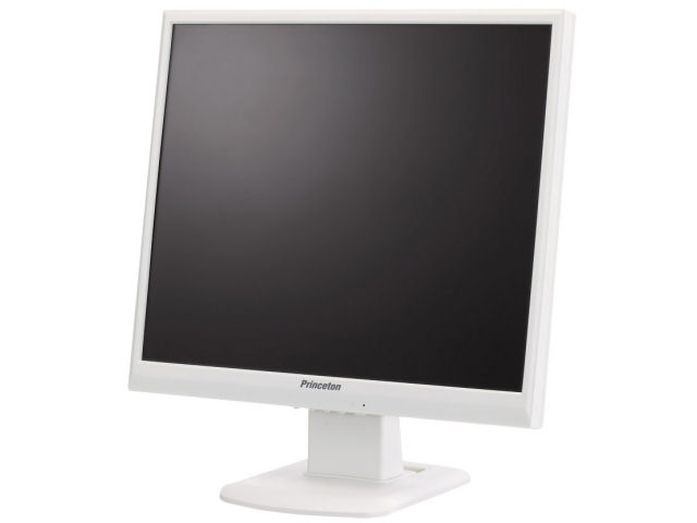 PTFWSF-19 [19�C���`] �̐��i�摜