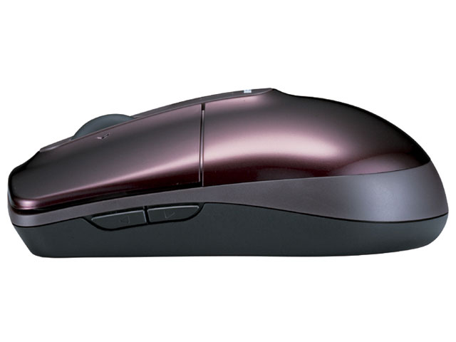 BSMLW01PU (�p�[�v��)