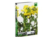 �t�H�g�r�b�g Vol.16 �t�̉� �̐��i�摜